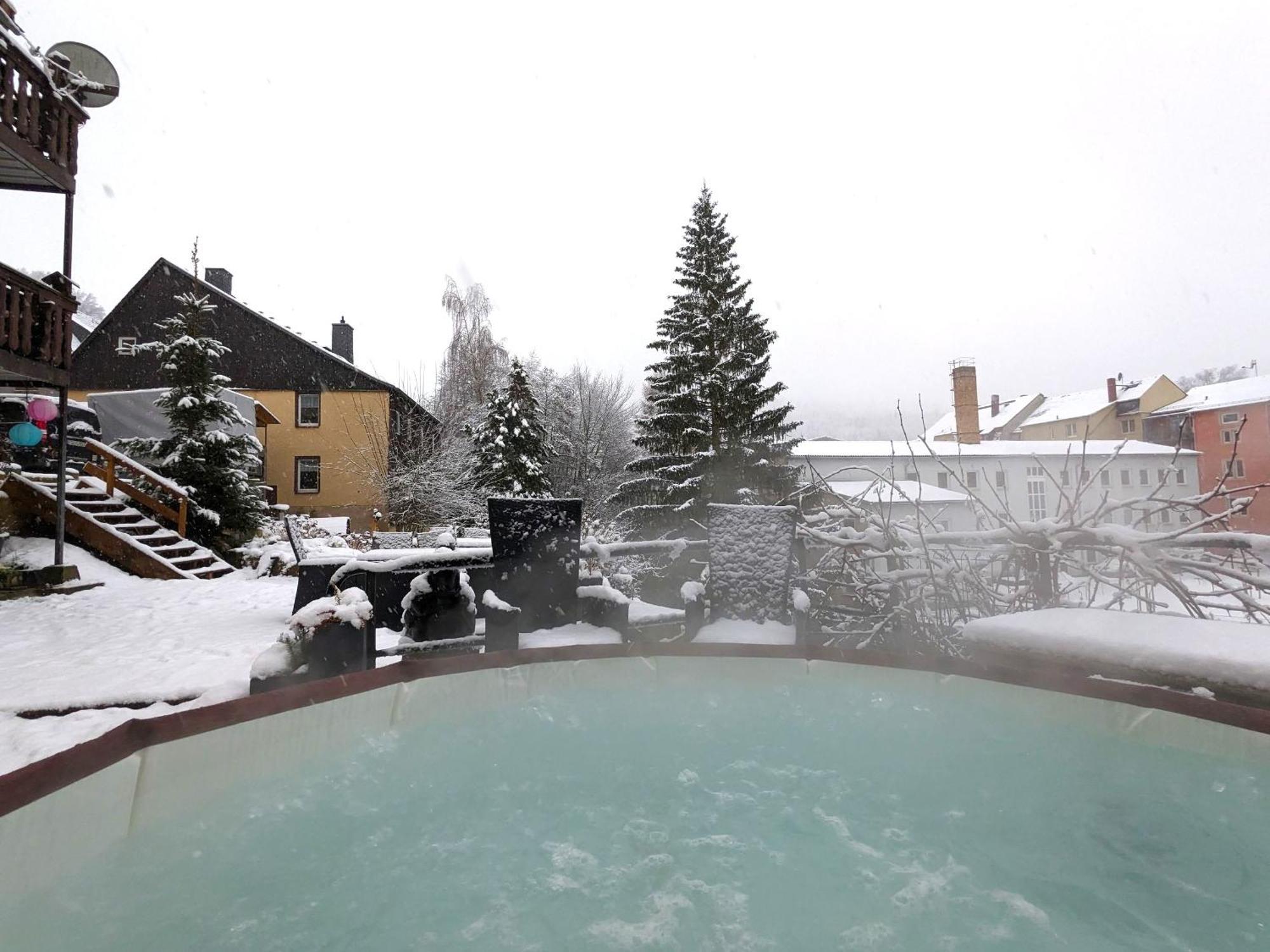 Hw2B - Urlaubsmagie - Wohlfuehlwohnung Mit Balkon, Pool, Sauna & Terrasse Sebnitz Ngoại thất bức ảnh