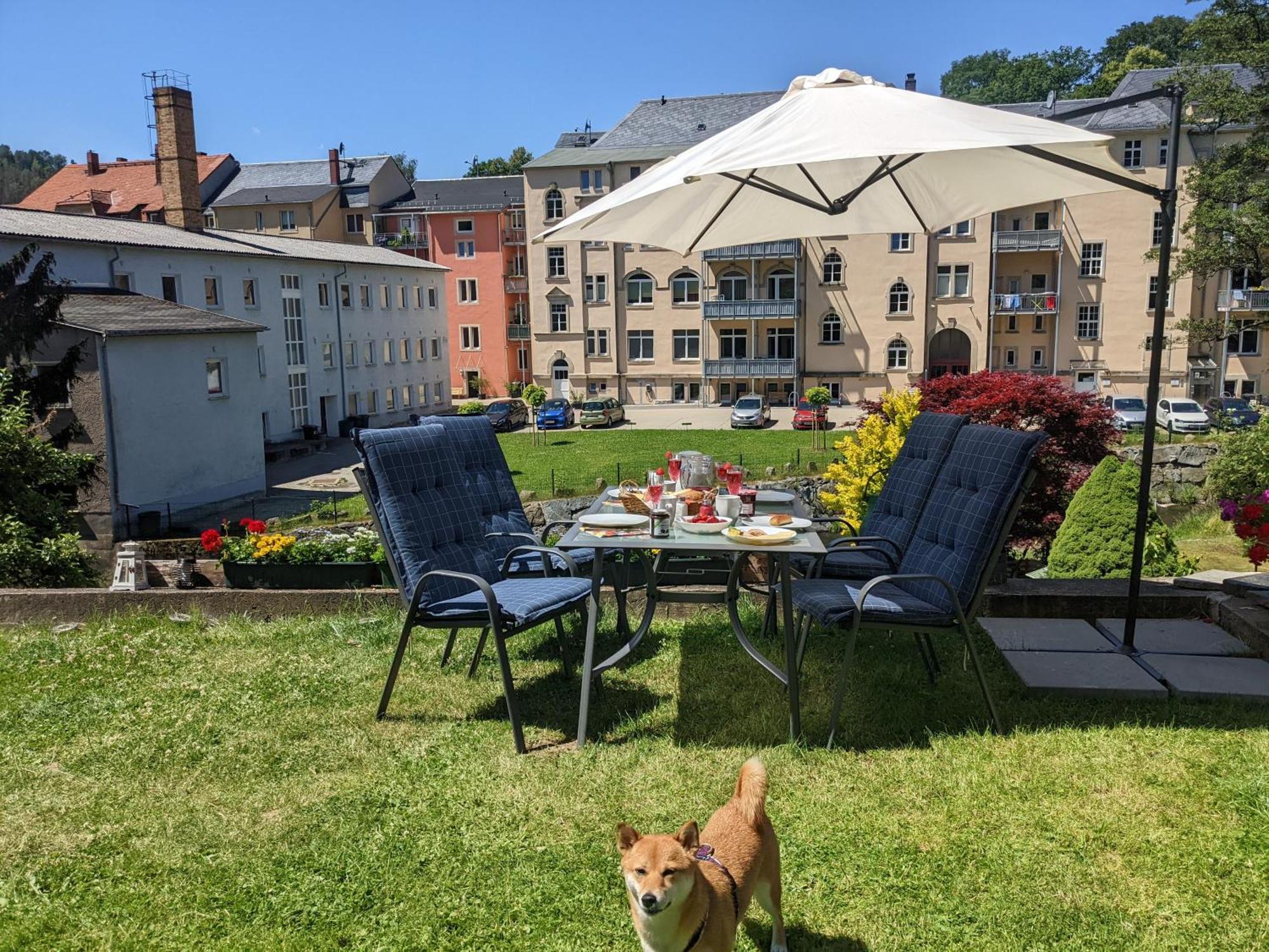Hw2B - Urlaubsmagie - Wohlfuehlwohnung Mit Balkon, Pool, Sauna & Terrasse Sebnitz Ngoại thất bức ảnh